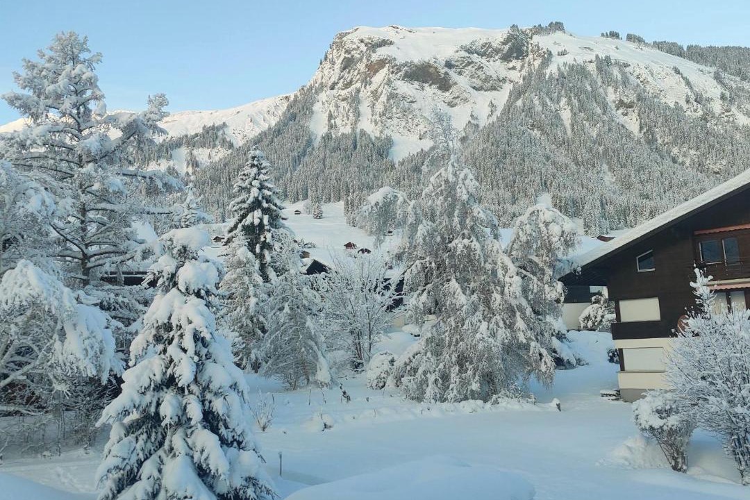 Photo of Others in Lenk