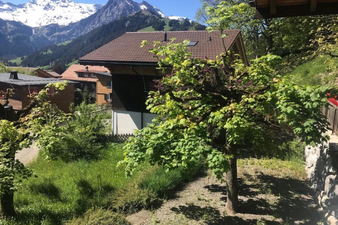 Photo of Others in Adelboden