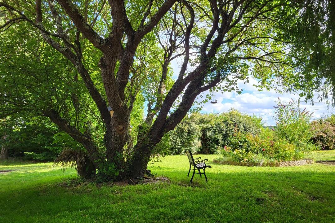 Photo of Others in Rigny-Usse