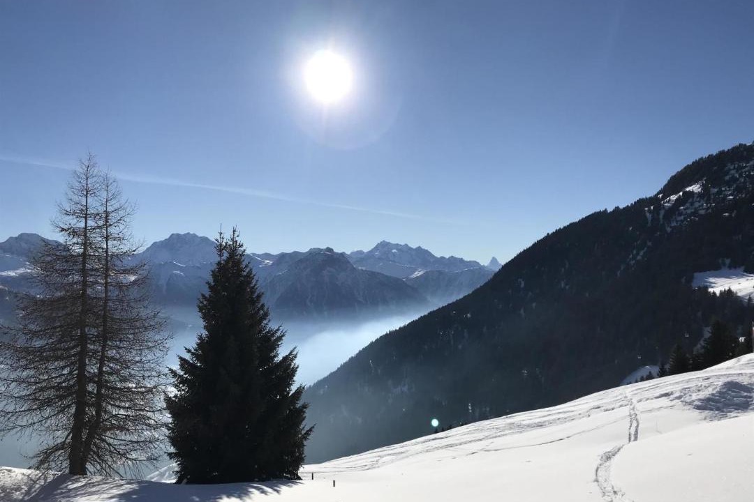 Photo of Others in Riederalp