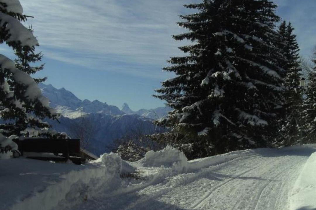 Photo of Others in Riederalp