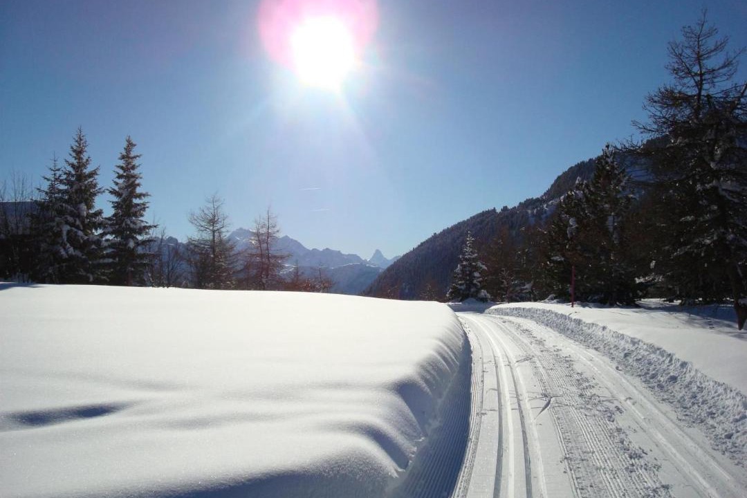 Photo of Others in Riederalp