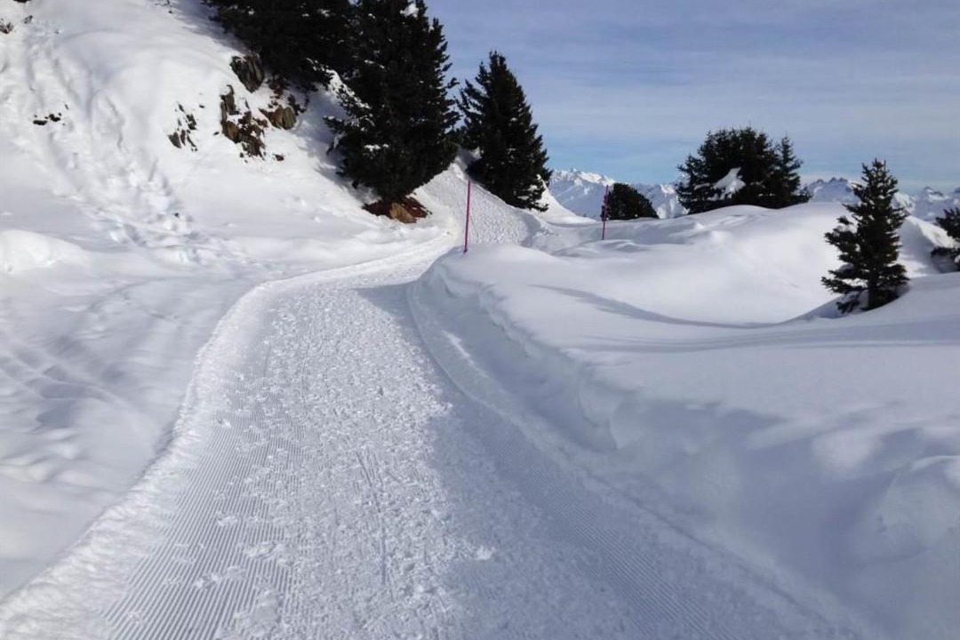 Photo of Others in Riederalp