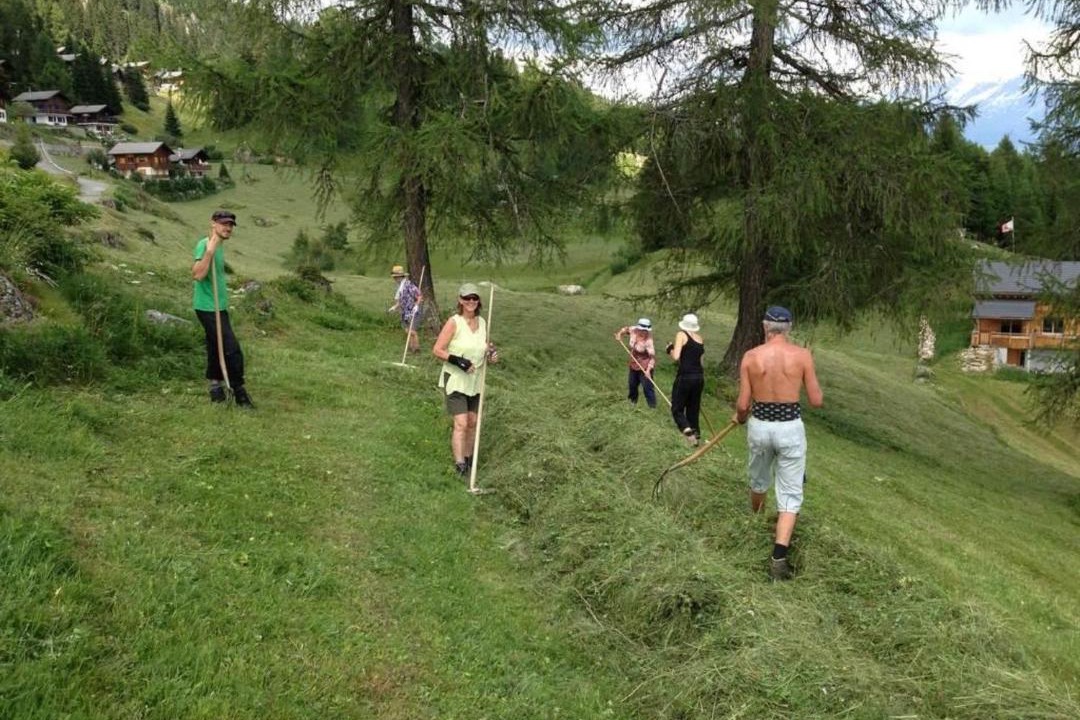 Photo of Others in Riederalp