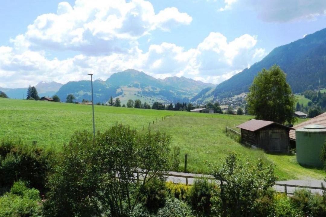 Photo of Others in Zweisimmen