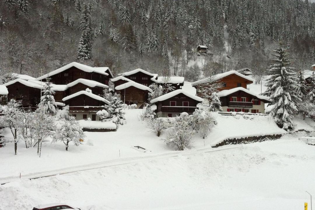 Photo of Others in Reckingen
