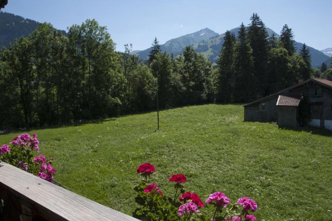 Photo of Others in Zweisimmen Nr Gstaad