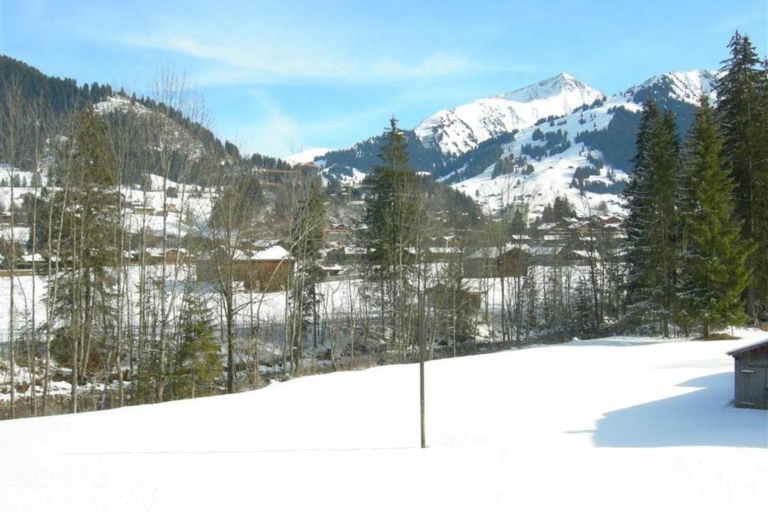 Photo of Others in Zweisimmen Nr Gstaad