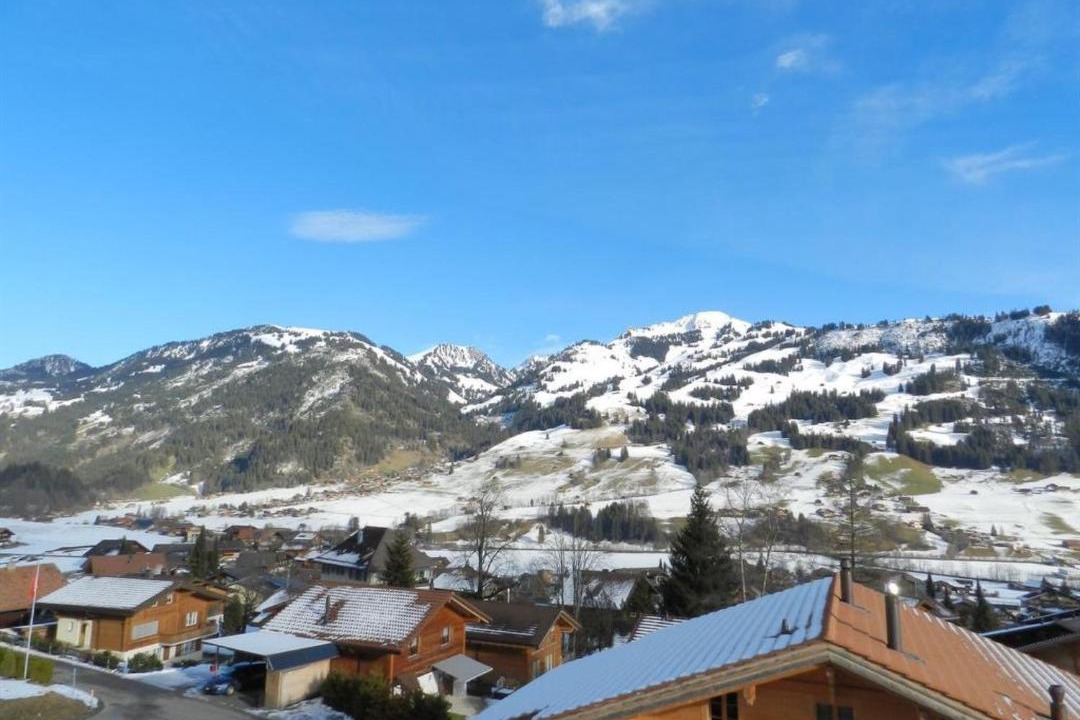 Photo of Others in Zweisimmen