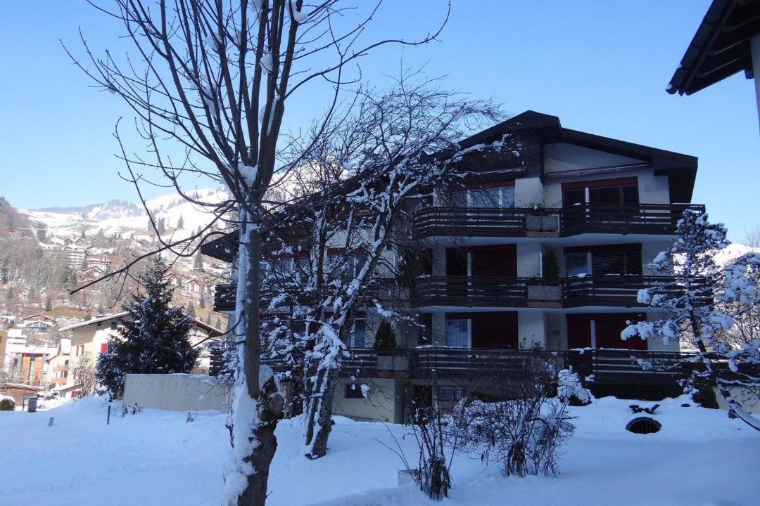 Photo of Others in Engelberg