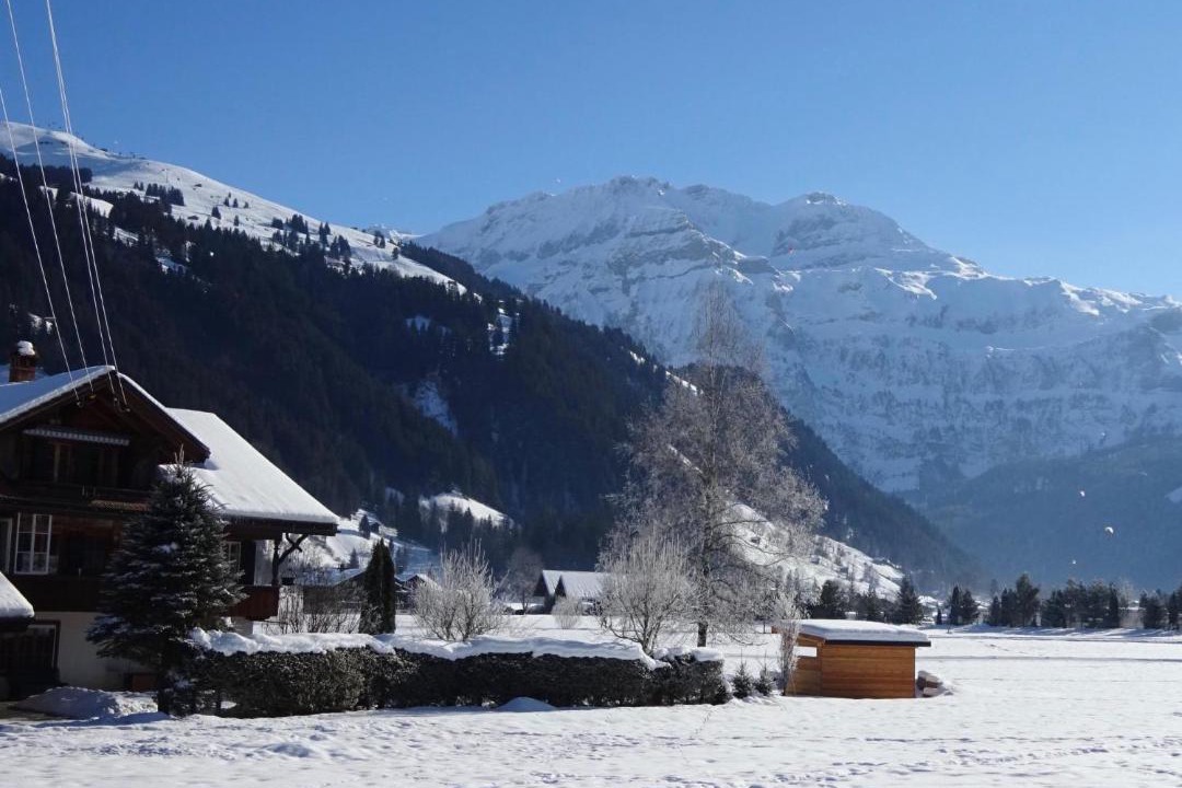 Photo of Others in Lenk