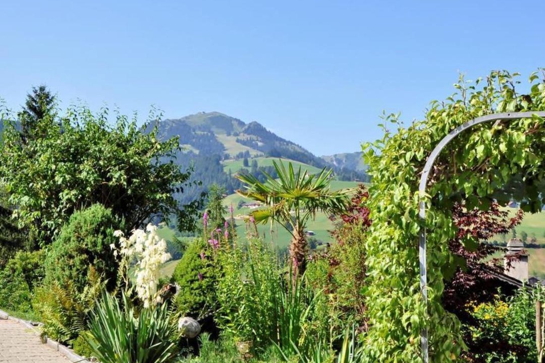 Photo of Others in Zweisimmen