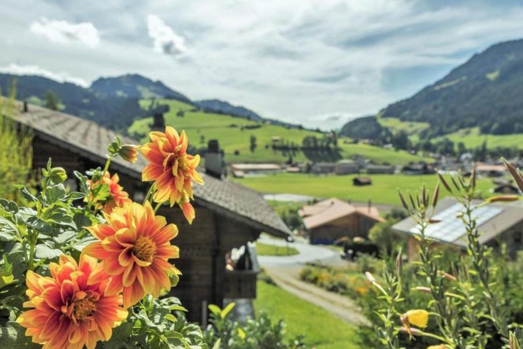 Photo of Others in Zweisimmen