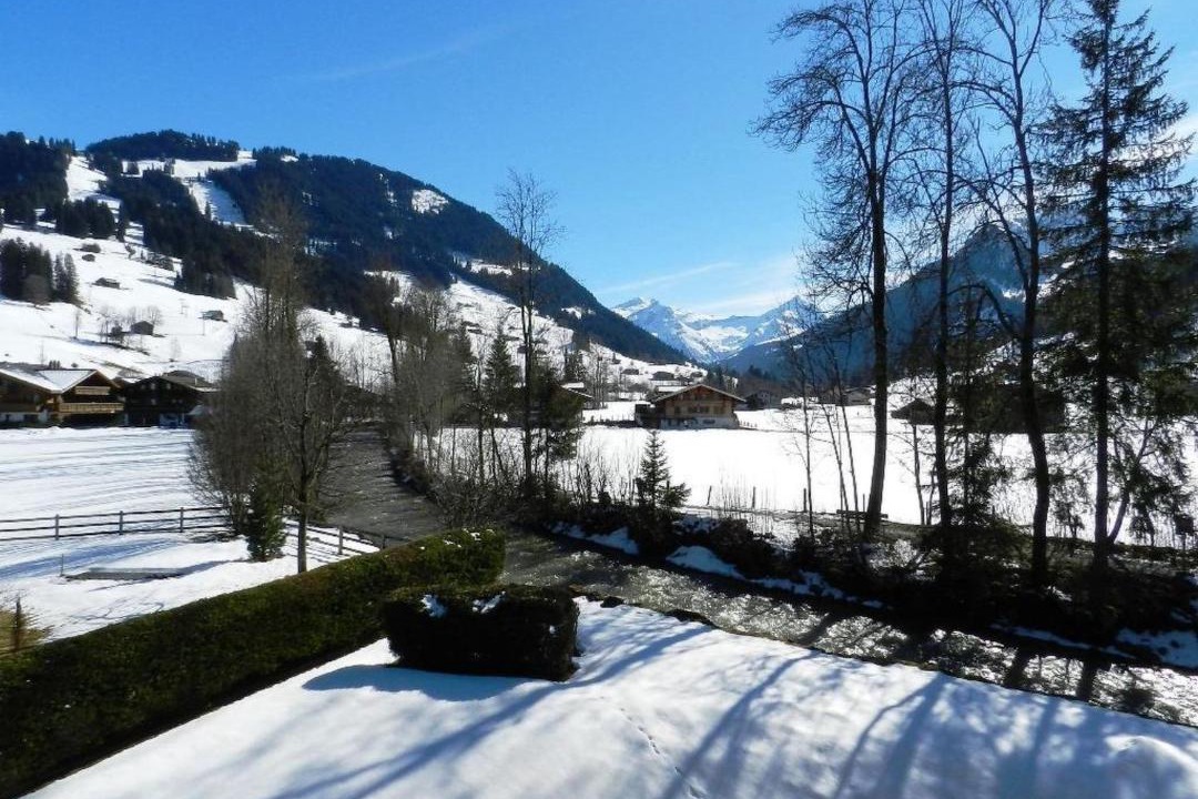 Photo of Others in Zweisimmen Nr Gstaad