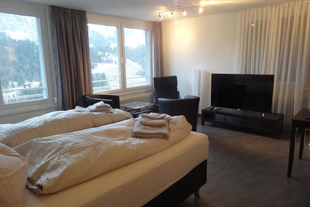 Photo of Others in Engelberg