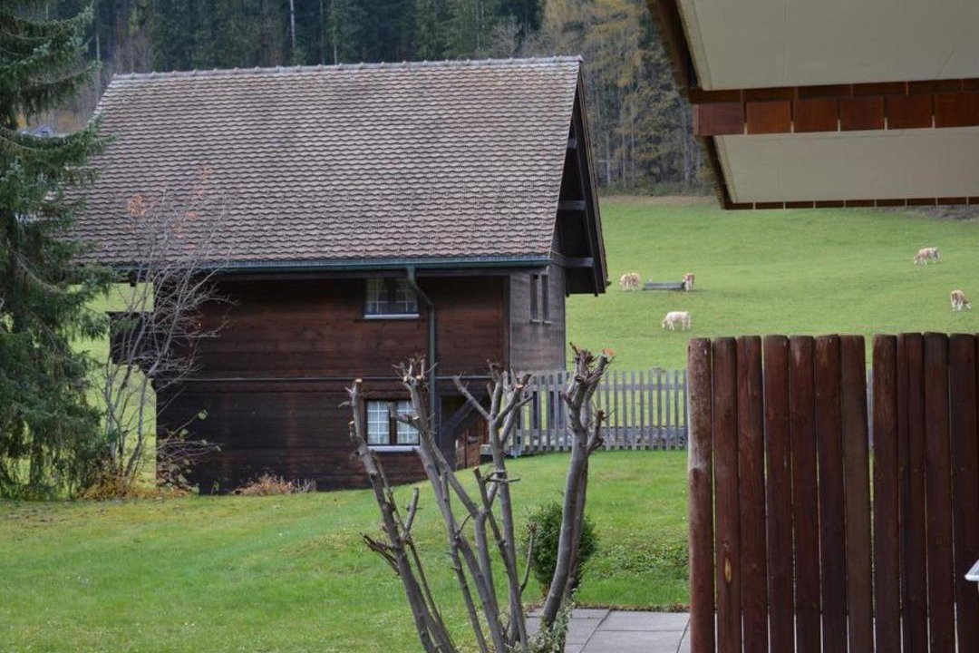 Photo of Others in Zweisimmen