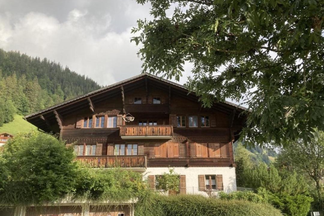 Photo of Others in Zweisimmen