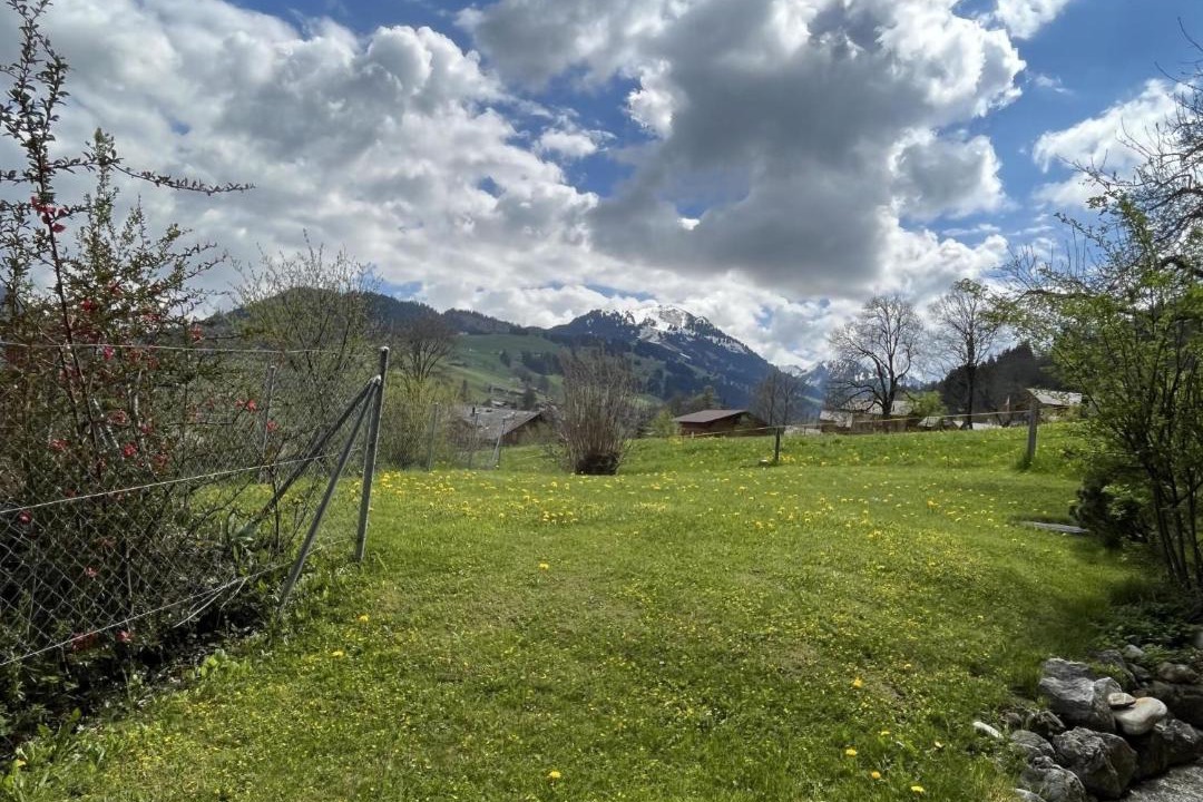 Photo of Others in Zweisimmen
