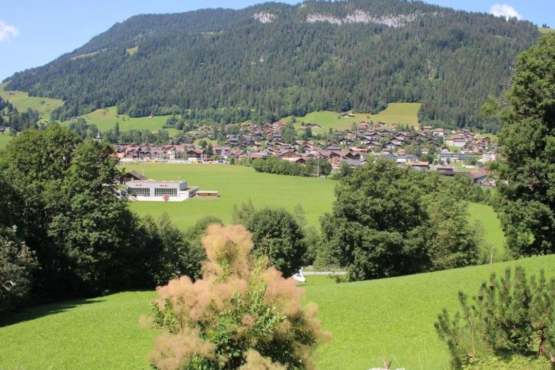 Photo of Others in Zweisimmen