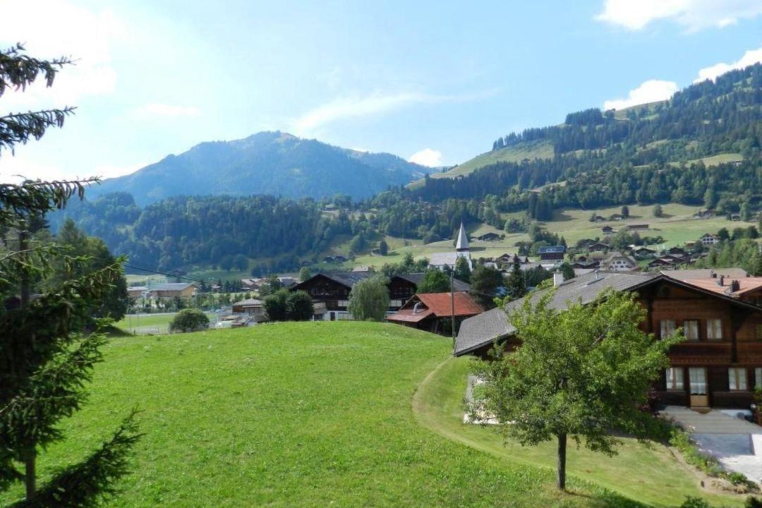 Photo of Others in Saanen