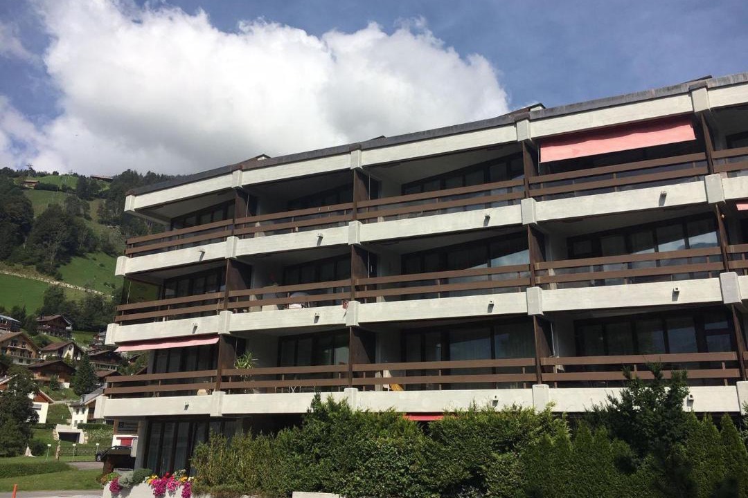 Photo of Others in Engelberg