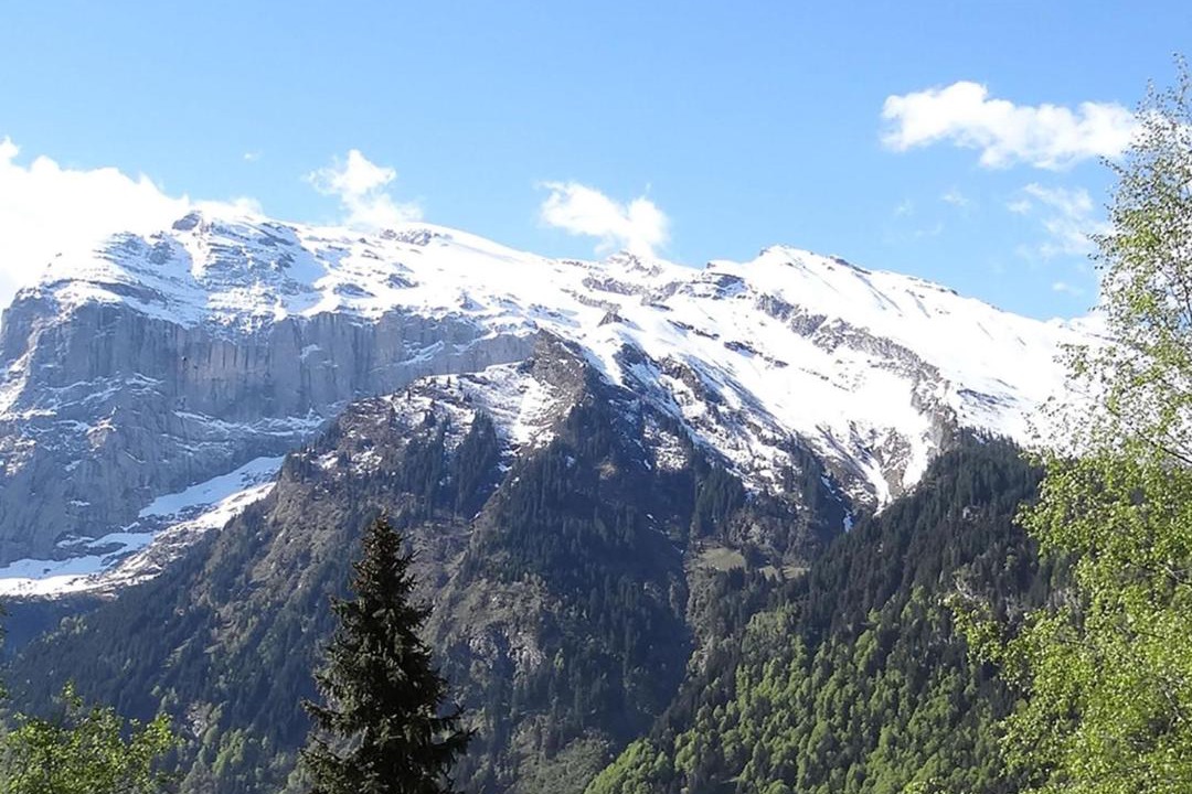 Photo of Others in Engelberg