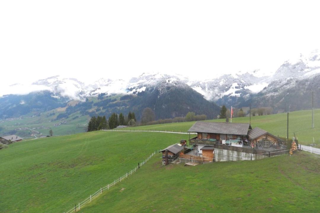 Photo of Others in Oeschseite