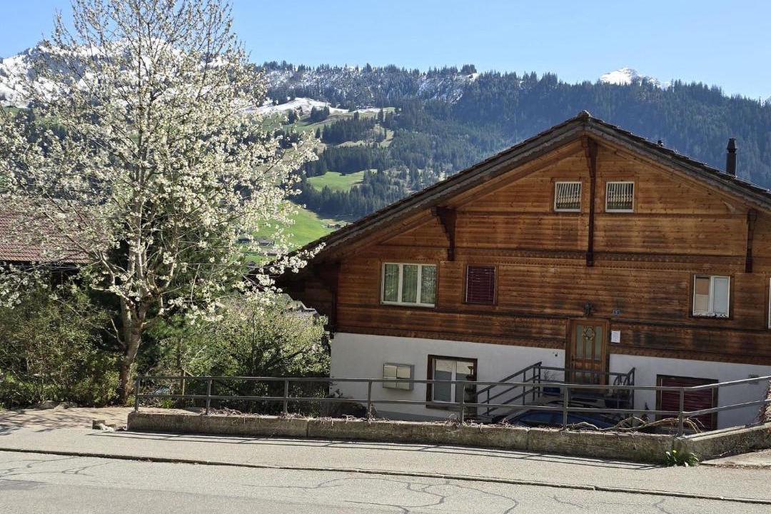 Photo of Others in Zweisimmen