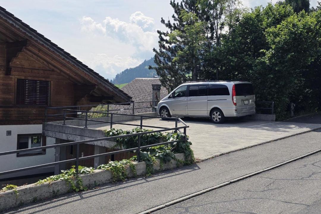 Photo of Others in Zweisimmen