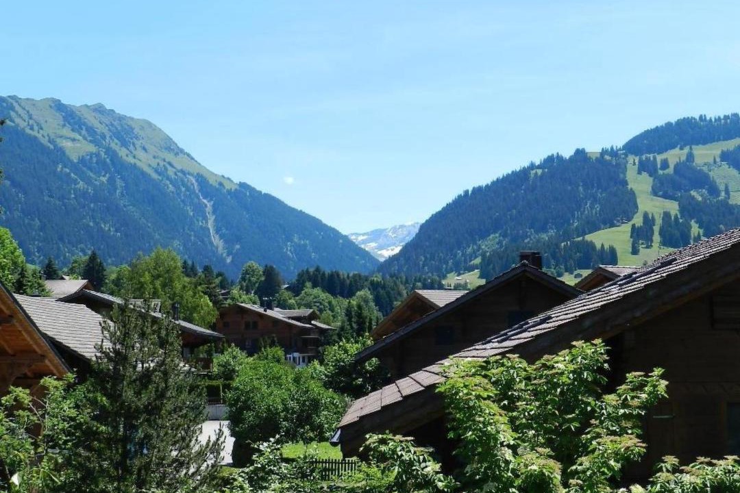 Photo of Others in Zweisimmen Nr Gstaad