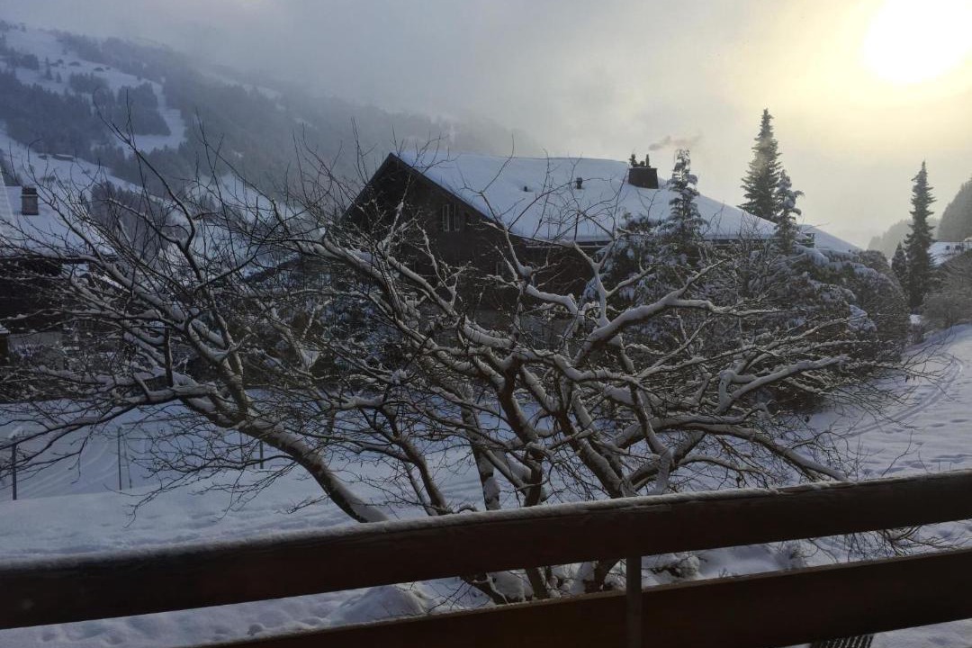Photo of Others in Lenk