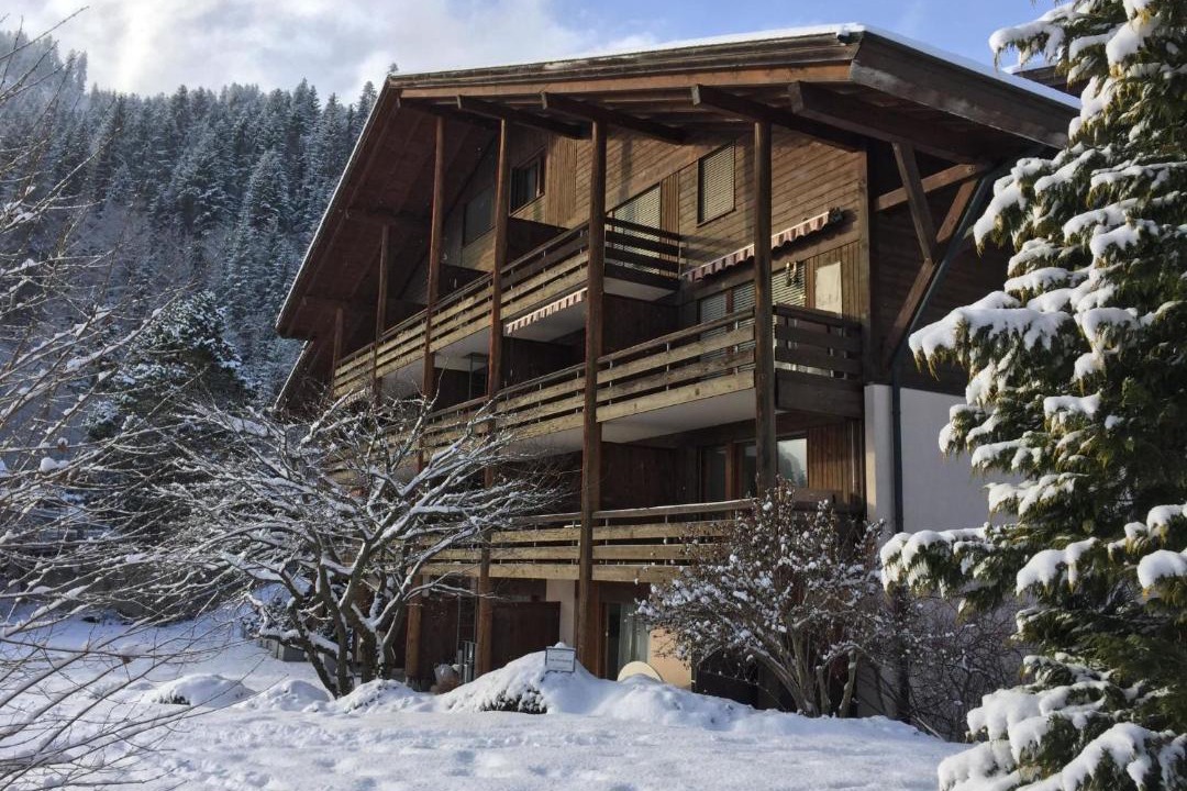 Photo of Others in Lenk