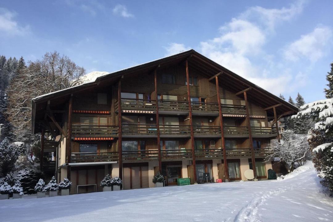Photo of Others in Lenk
