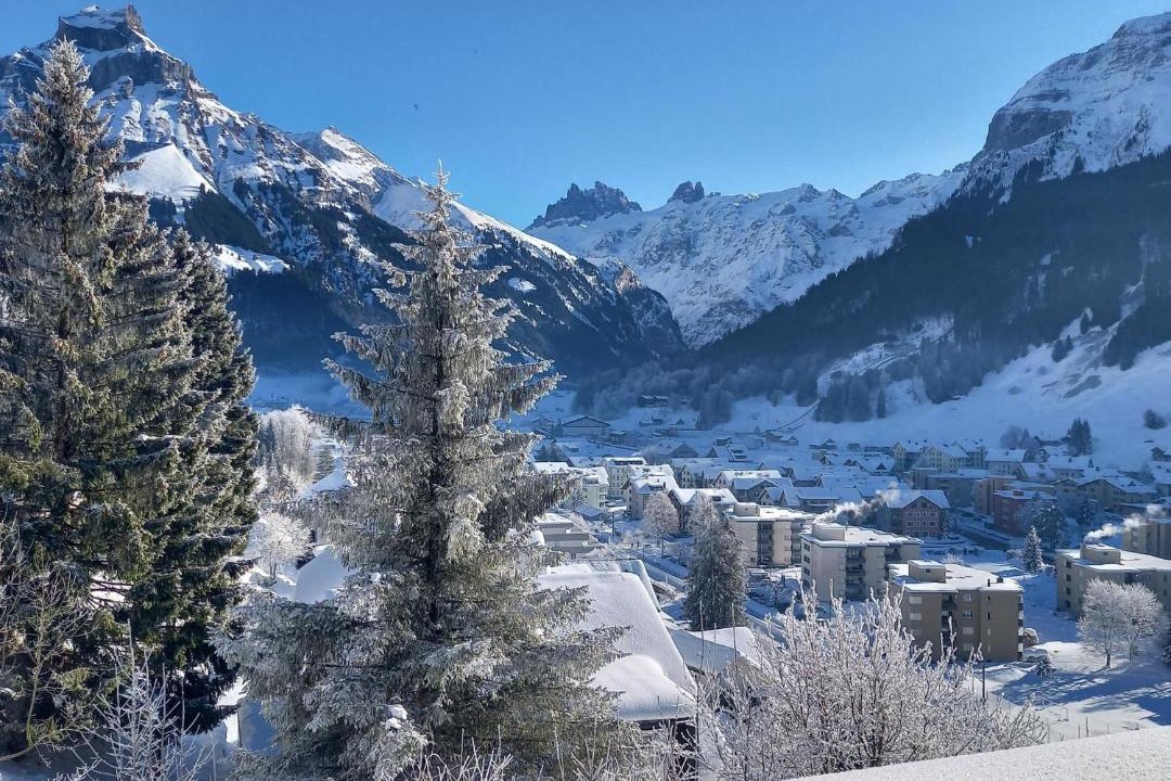 Photo of Others in Engelberg