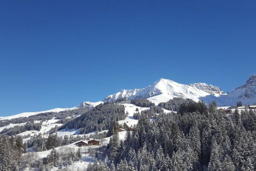 Photo of Others in Adelboden
