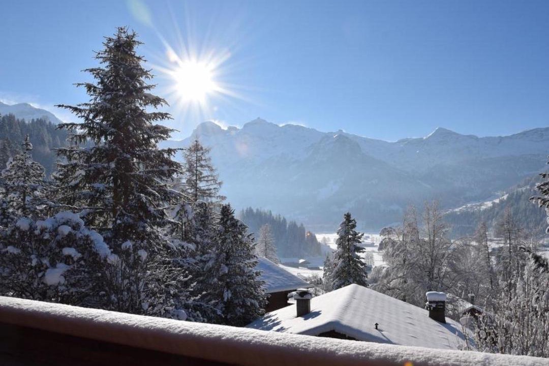 Photo of Others in Lenk