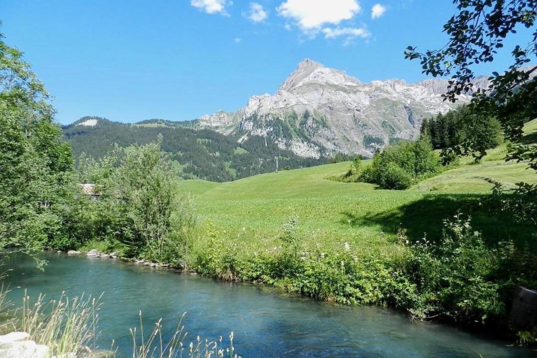 Photo of Others in Gsteig