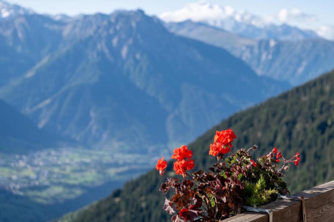 Photo of Others in Riederalp