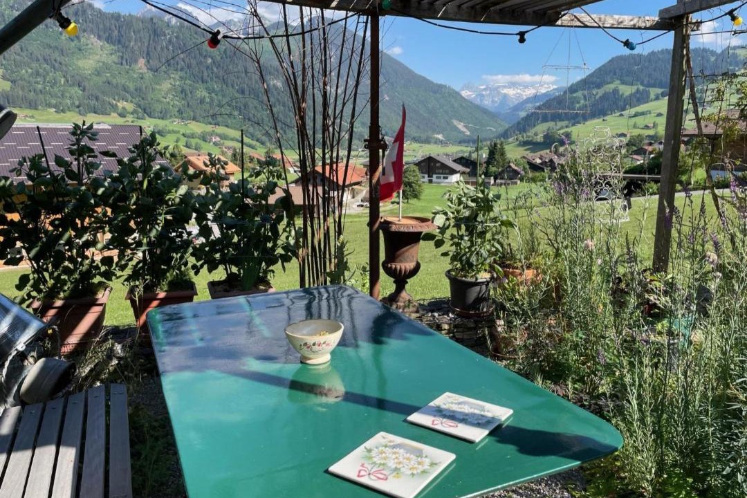 Photo of Others in Zweisimmen