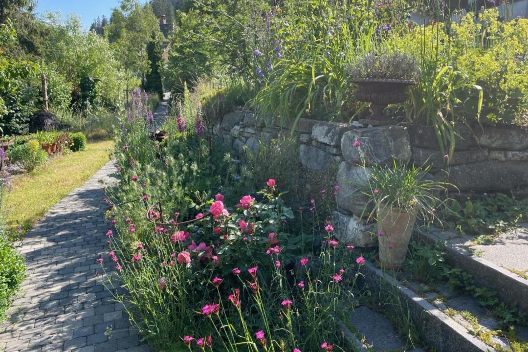 Photo of Others in Zweisimmen
