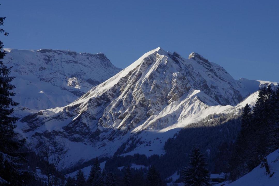 Photo of Others in Adelboden