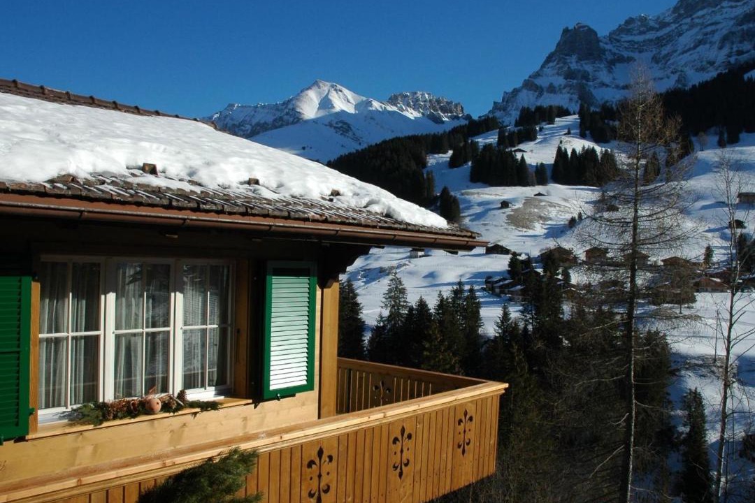 Photo of Others in Adelboden