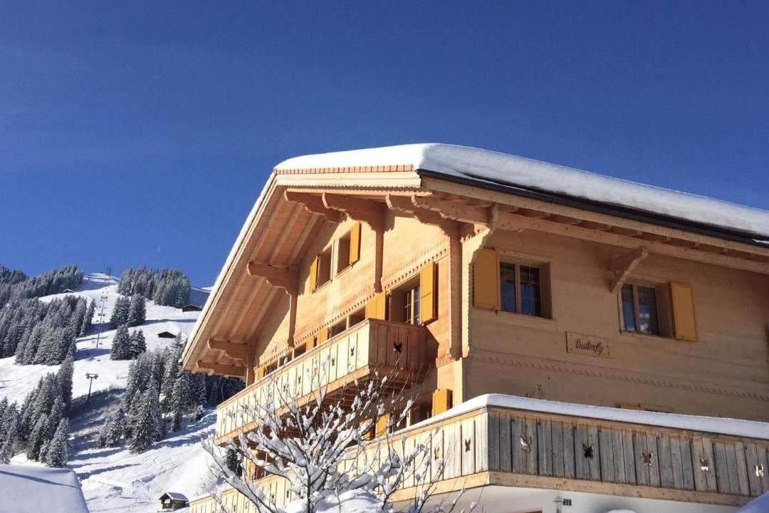 Photo of Others in Adelboden