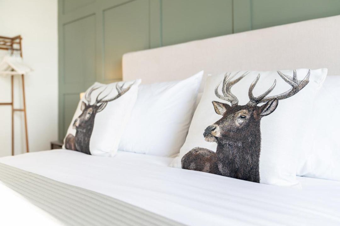 Photo of Bedroom in Ventnor