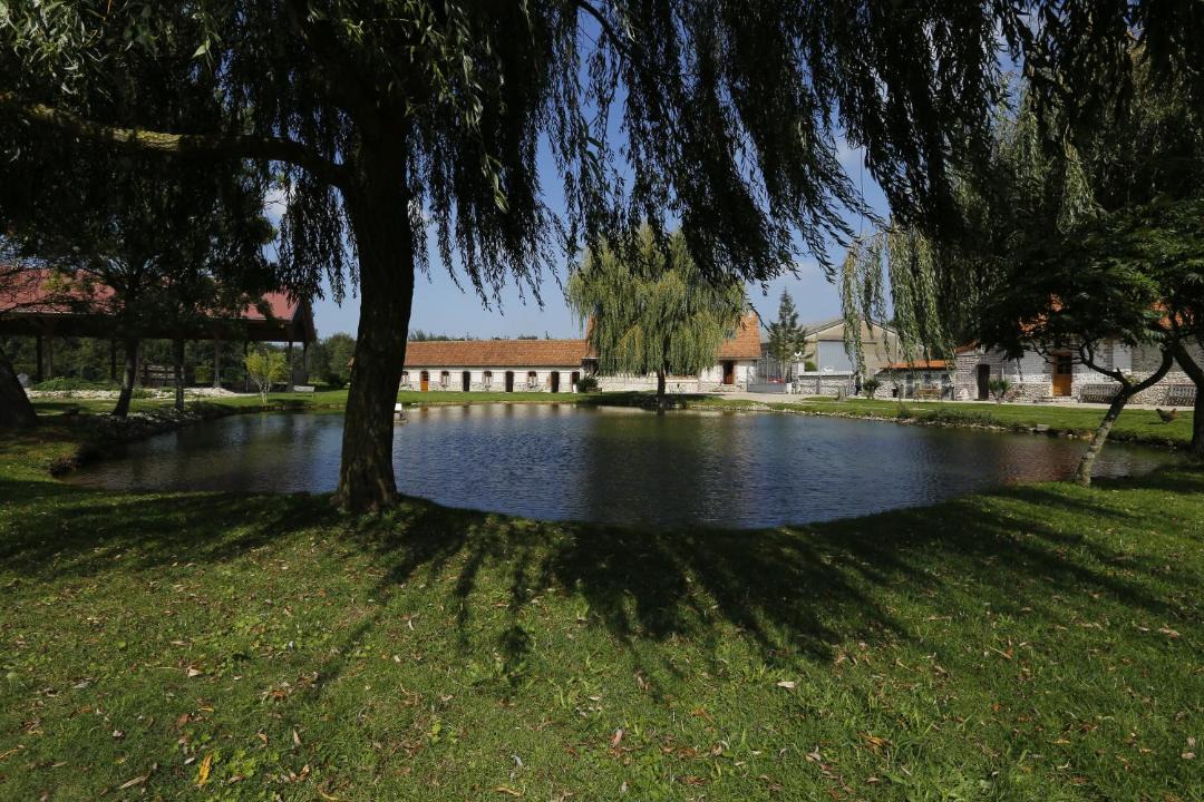 Photo of Others in Lepine