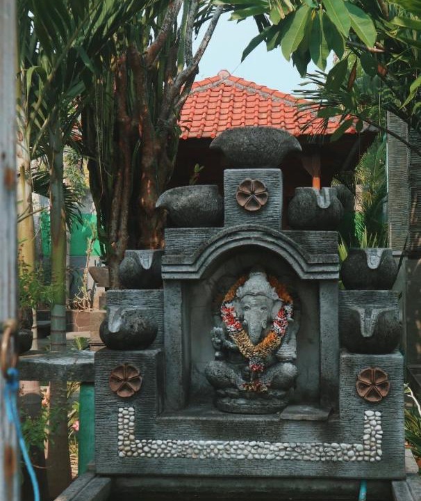 Photo of Others in Mushroom Bay