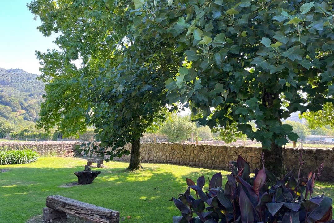 Photo of Outdoor in Ucieda