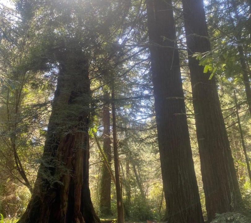 Photo of Others in Klamath