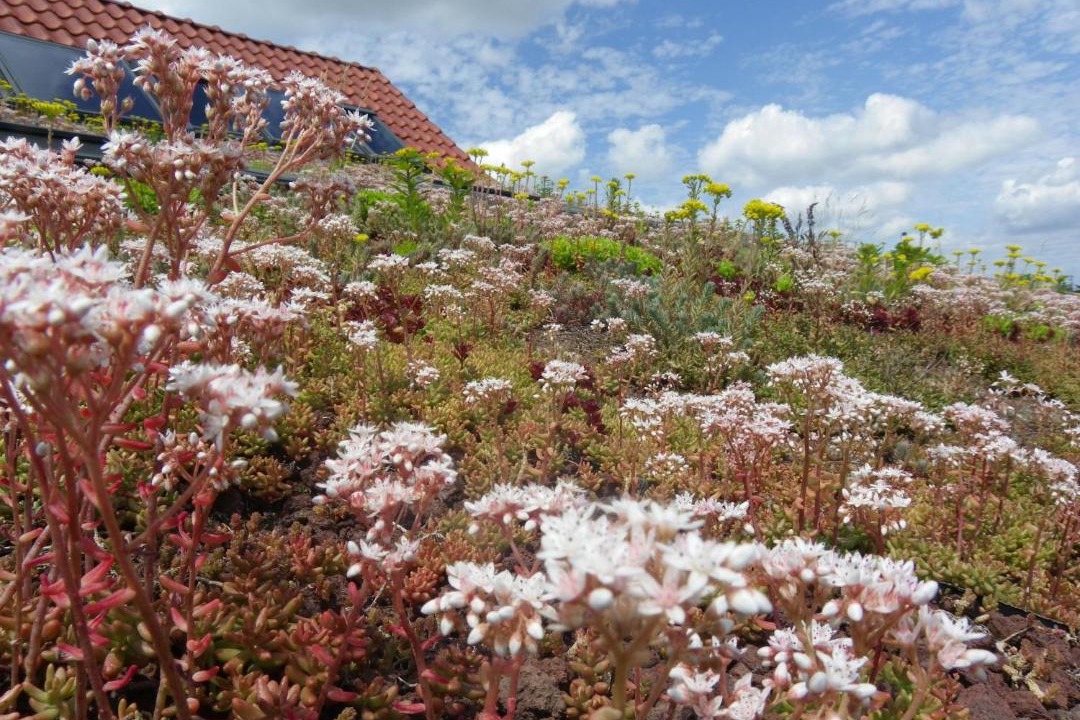 Photo of Outdoor in Loos-en-Gohelle
