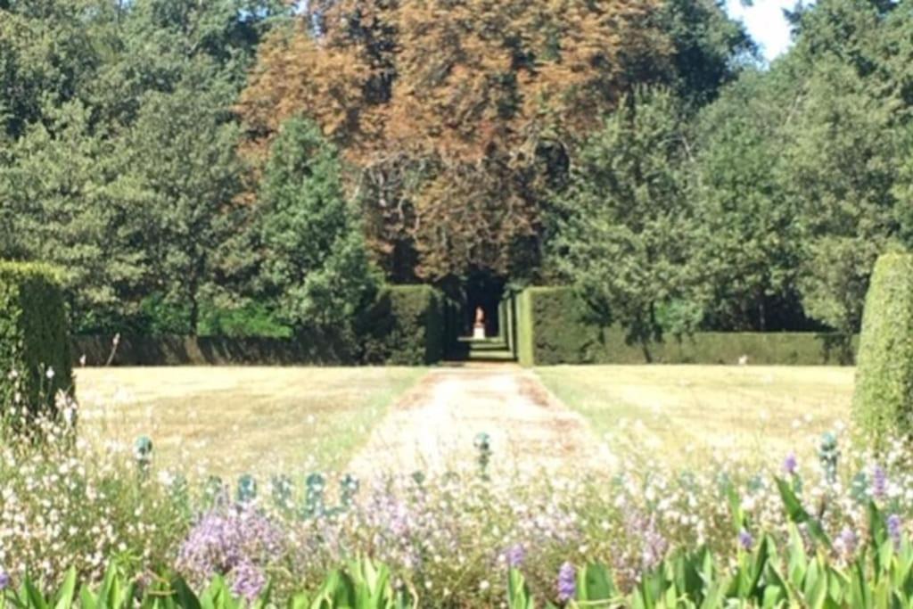 Photo of Others in Auterive